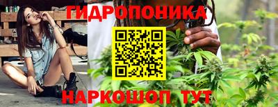 Альфа ПВП Балаково