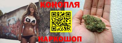 Альфа ПВП Балаково