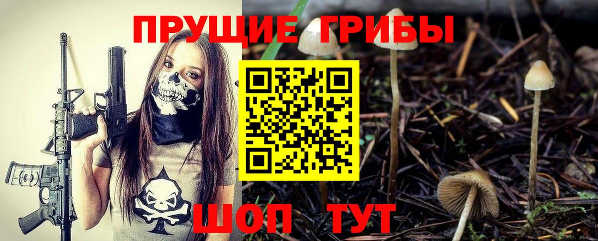 Псилоцибиновые грибы прущие грибы Гай