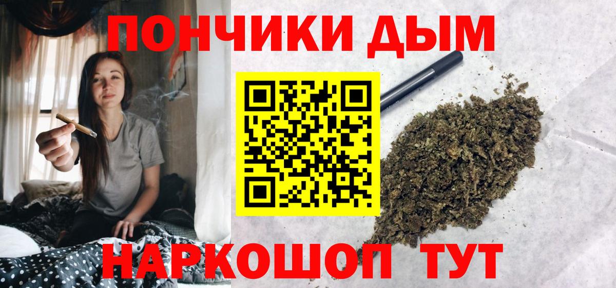 МЕФ Гай